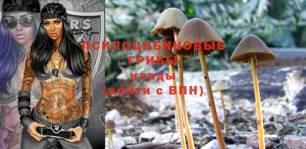 Альфа ПВП Абдулино
