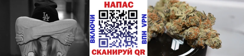 где купить наркоту  Сольцы  Бошки Шишки Bruce Banner 